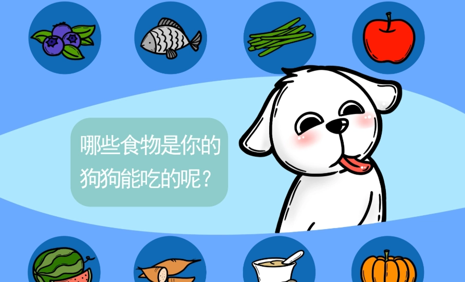 狗飲食禁忌