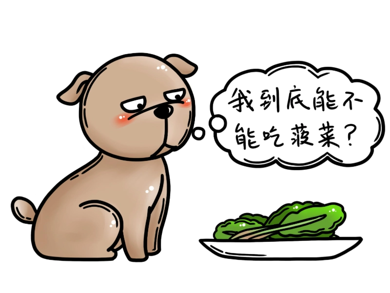 狗 吃空心菜 注意事項 狗 吃空心菜 注意事項