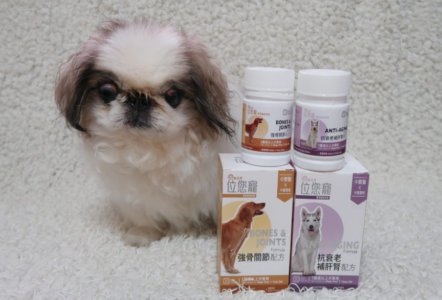狗狗貧血吃什麼 狗狗貧血吃什麼