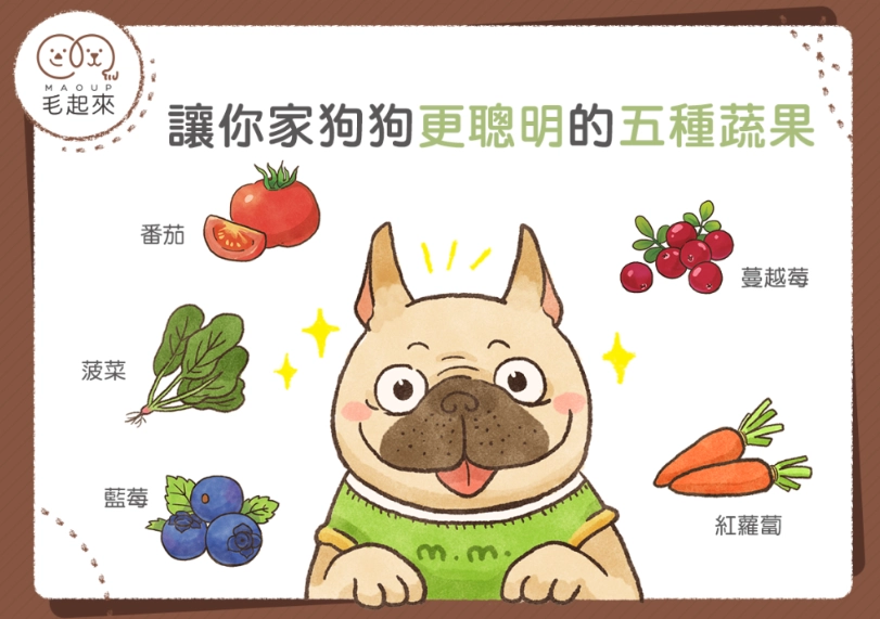 狗可以吃小白菜