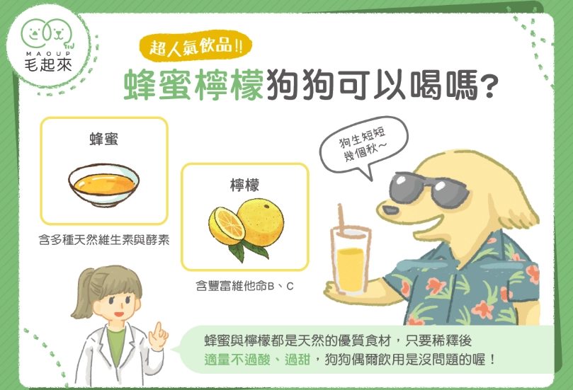 狗狗可以喝蜂蜜嗎 狗狗可以喝蜂蜜嗎