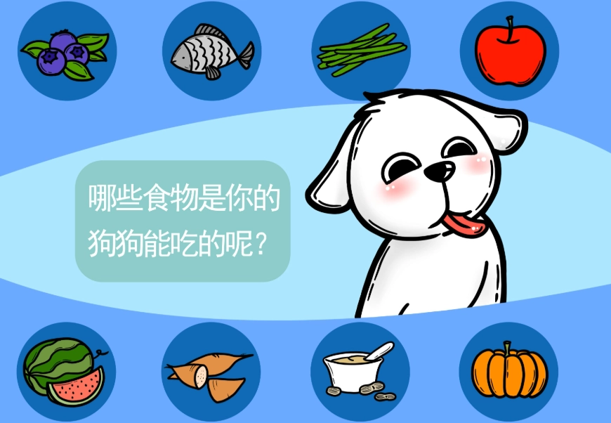 幼犬營養比例 幼犬營養比例