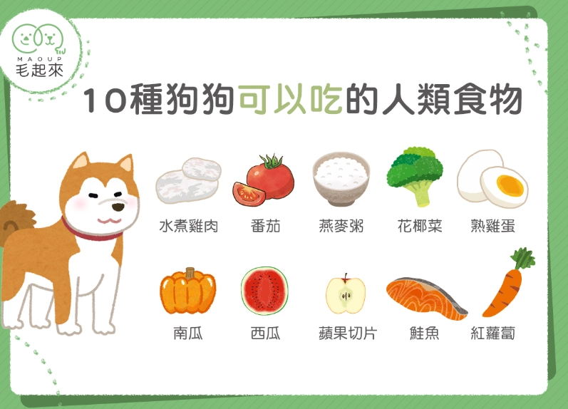 狗狗 白蘿蔔 狗狗 白蘿蔔