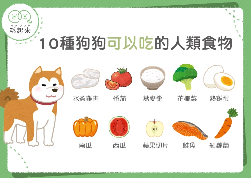 長豆對狗狗安全嗎 長豆對狗狗安全嗎