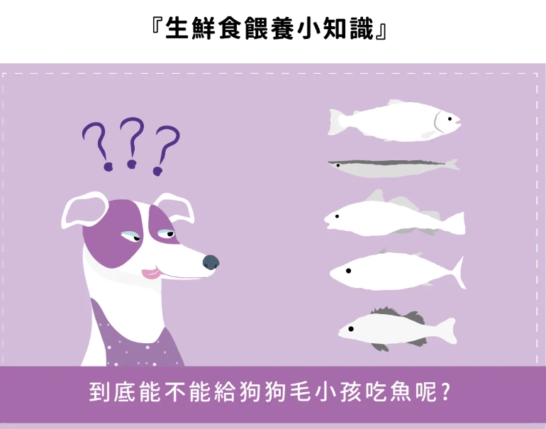 狗 吃 魚 安全 狗 吃 魚 安全