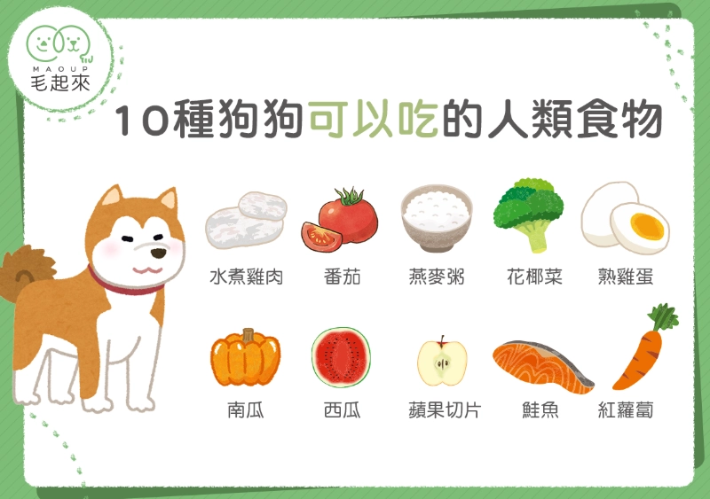 狗食營養比例 狗食營養比例