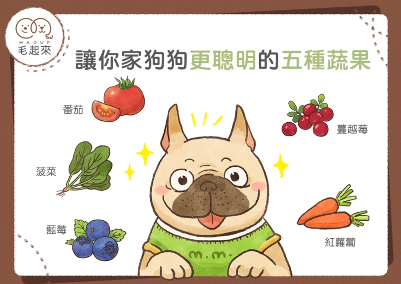 綠豆對狗狗安全嗎 綠豆對狗狗安全嗎