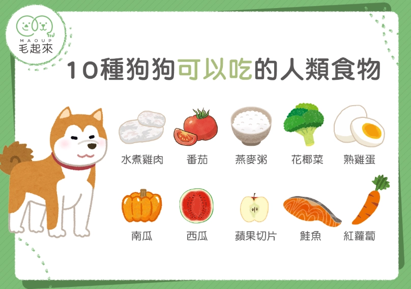 狗食柑品種 狗食柑品種