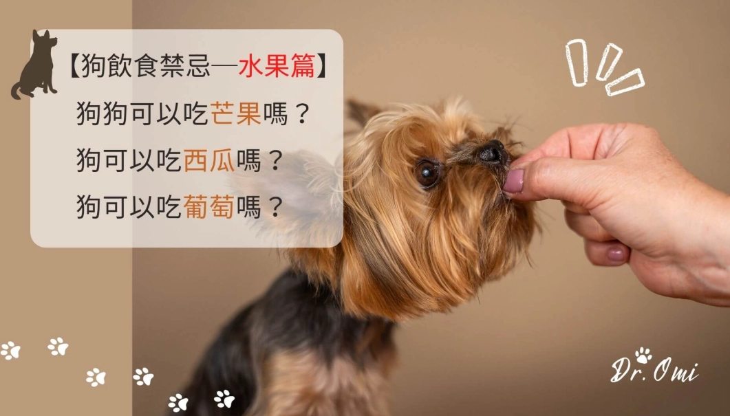 狗狗飲食比例 狗狗飲食比例