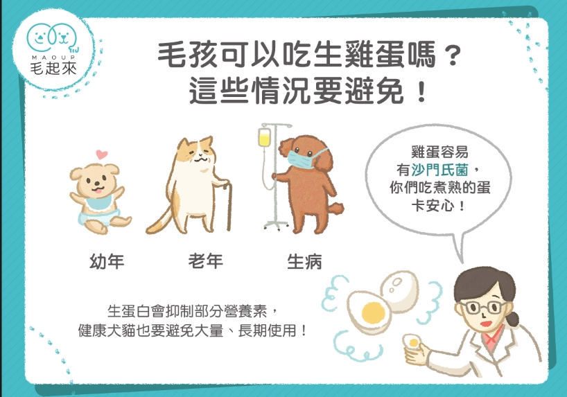 狗狗吃生豆腐
