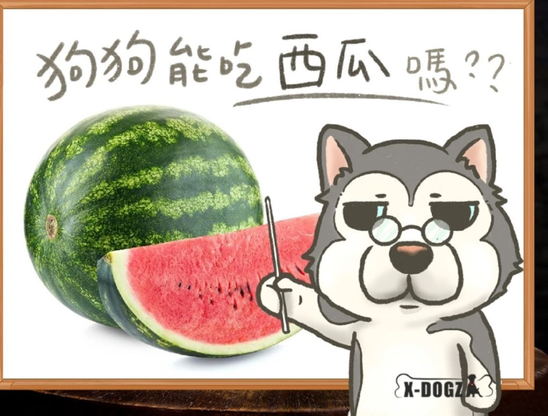 狗狗飲食安全 狗狗飲食安全