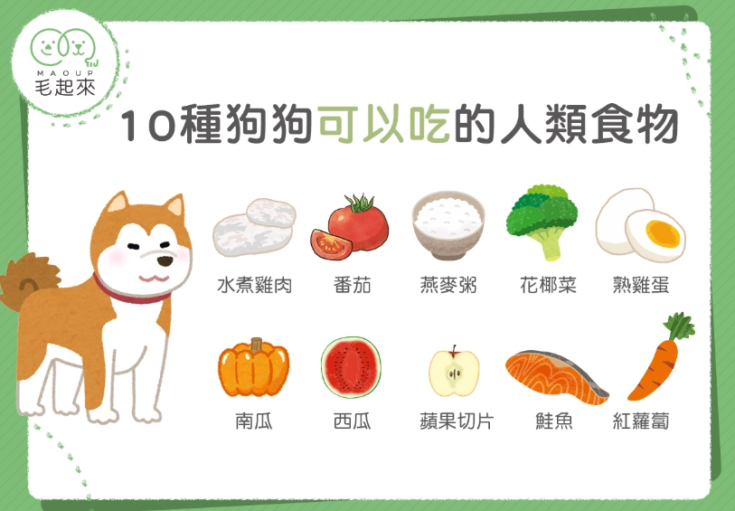 創意番茄料理 創意番茄料理
