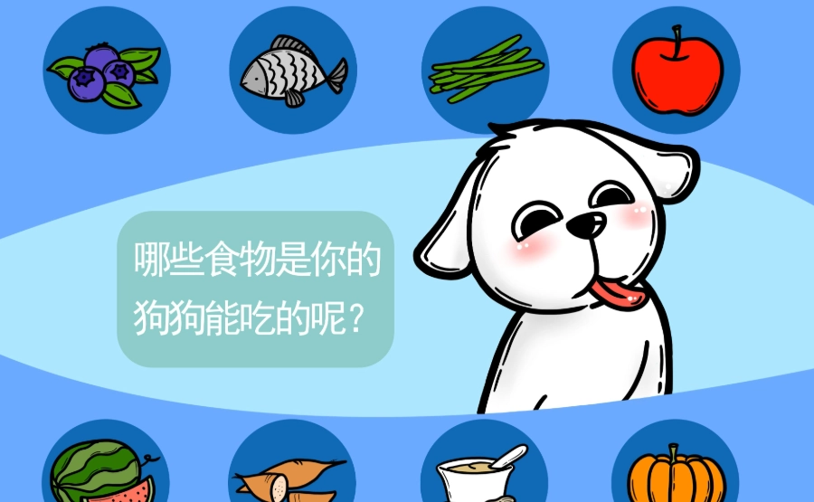 狗 吃 魚 安全 狗 吃 魚 安全