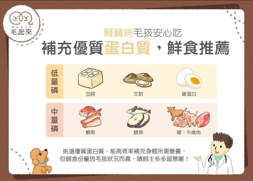 狗狗吃生豆腐