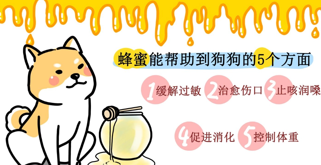 狗狗可以喝蜂蜜嗎 狗狗可以喝蜂蜜嗎