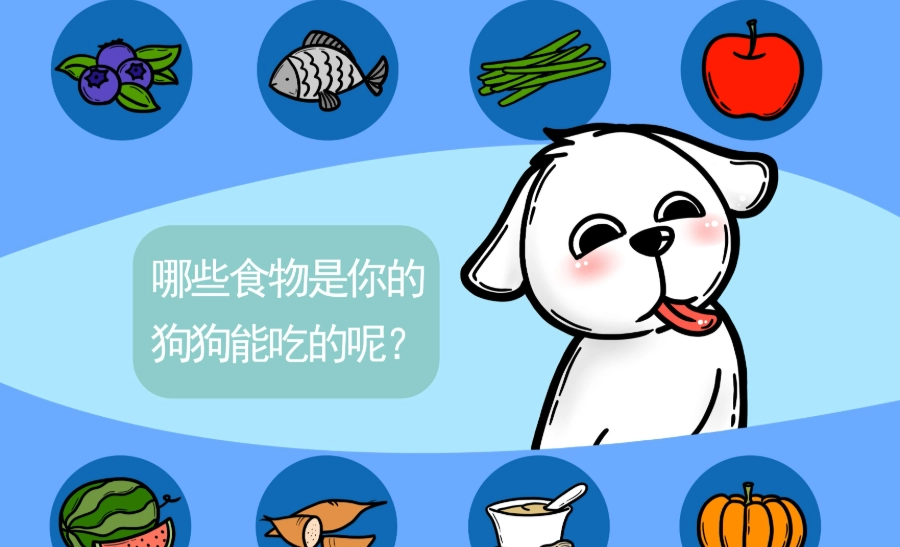 狗 藜麥 怎麼煮 狗 藜麥 怎麼煮