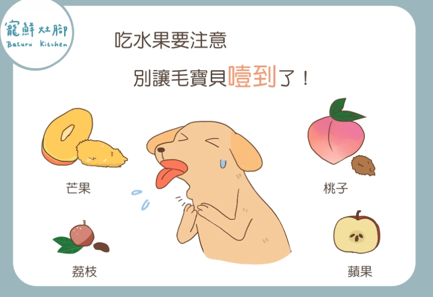 狗狗吃薑 狗狗吃薑