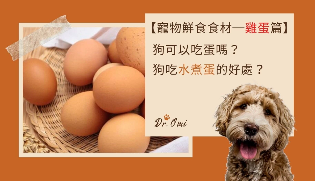 創意番茄料理 創意番茄料理