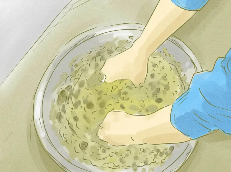 狗狗 腎臟 保健 食物 狗狗 腎臟 保健 食物