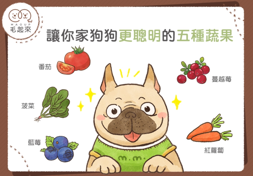 狗狗飲食禁忌 狗狗飲食禁忌