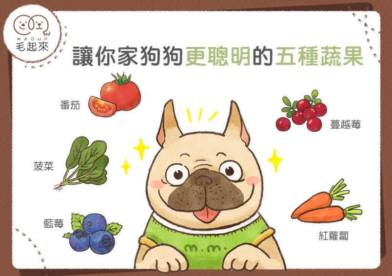 山藥對狗的好處