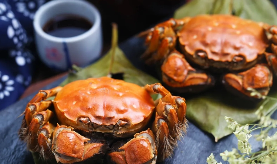 台灣招潮蟹 台灣招潮蟹