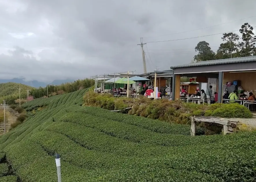 雲林景點推薦