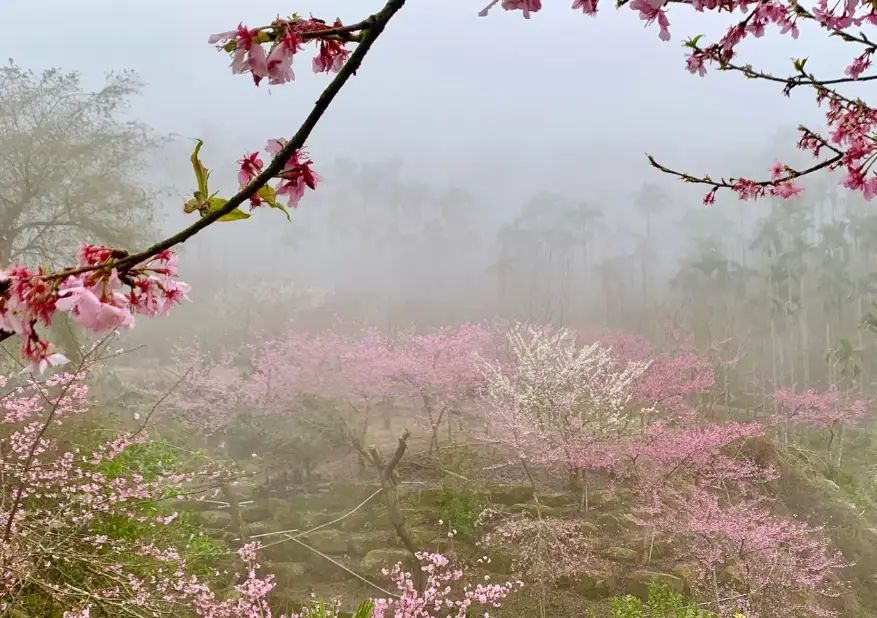 雲林景點推薦