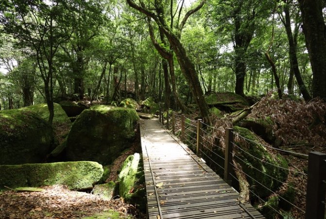 苗栗夏天旅遊 苗栗夏天旅遊