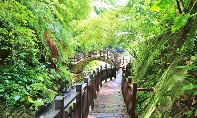 台灣北部親子避暑 台灣北部親子避暑
