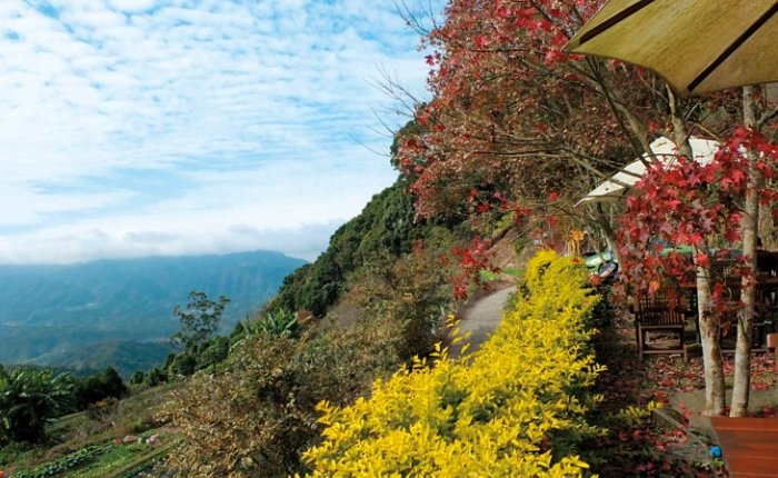 苗栗避暑景點 苗栗避暑景點