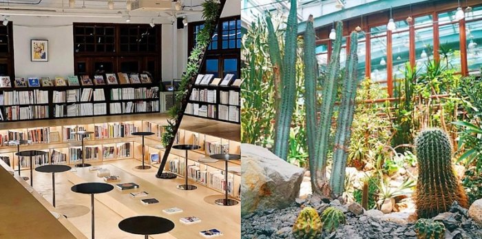 台北室內避暑景點 台北室內避暑景點