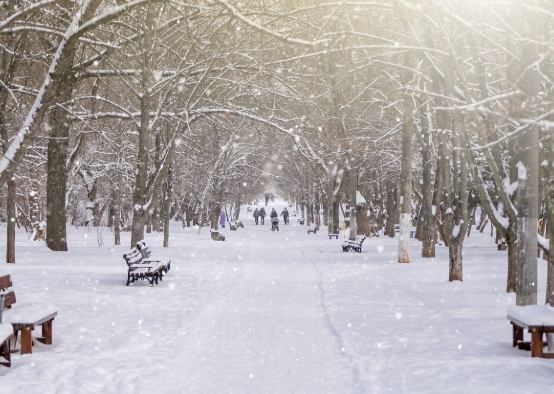 西雅圖冬天好去處