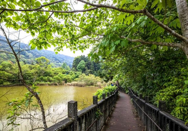 苗栗南庄必吃 苗栗南庄必吃