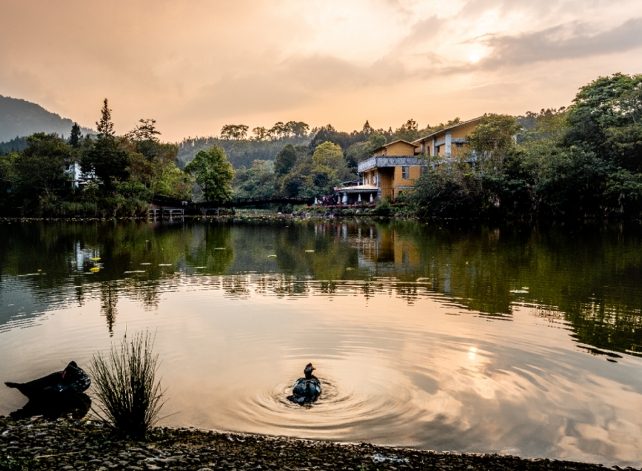 苗栗南庄必吃 苗栗南庄必吃