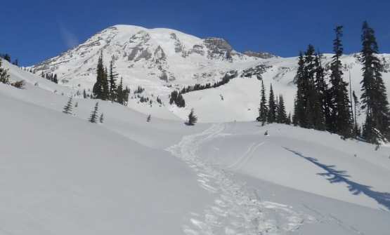 西雅圖冬天景點