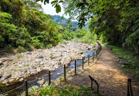 苗栗深度旅遊 苗栗深度旅遊