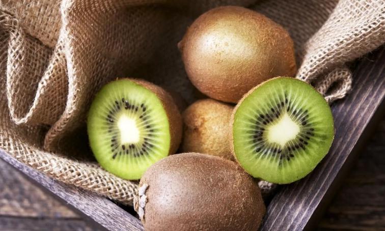 奇異果對狗狗的好處