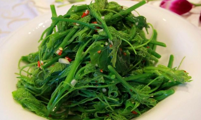 陽明山午餐推薦