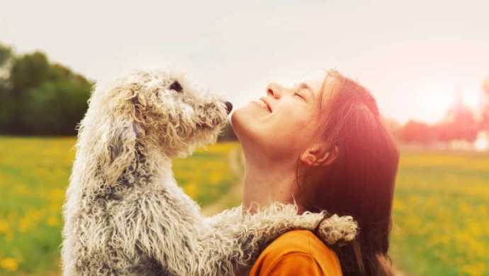 抱狗安全注意事項