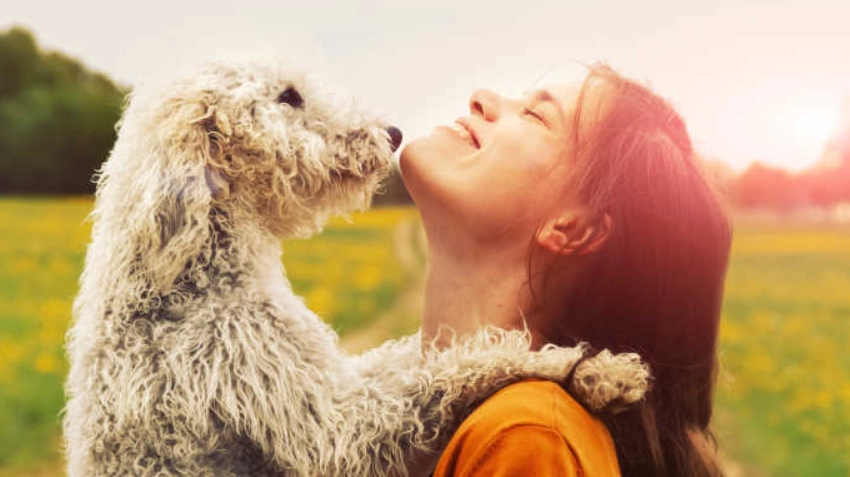 寵物行為異常 寵物行為異常