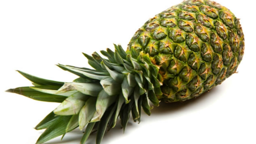 鳳梨對貓有害嗎