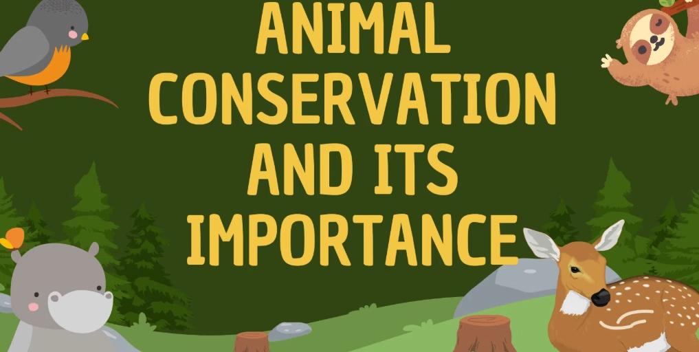 社團管理 社團管理