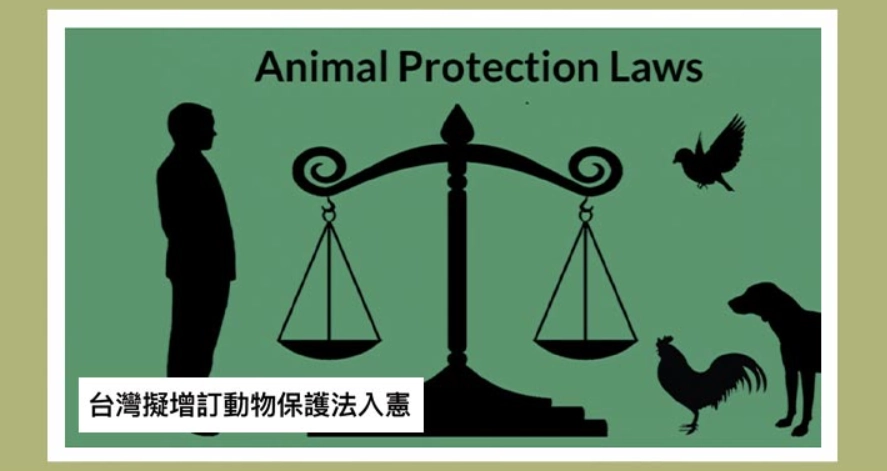 動物保護罰則
