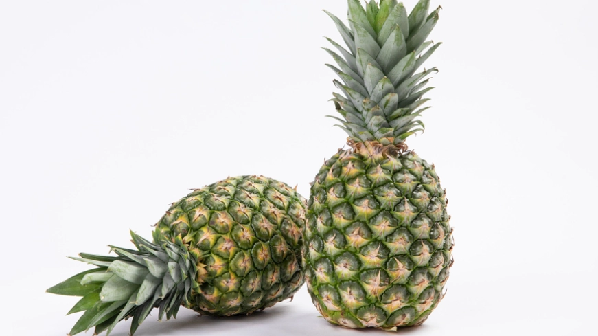 貓可以吃鳳梨嗎